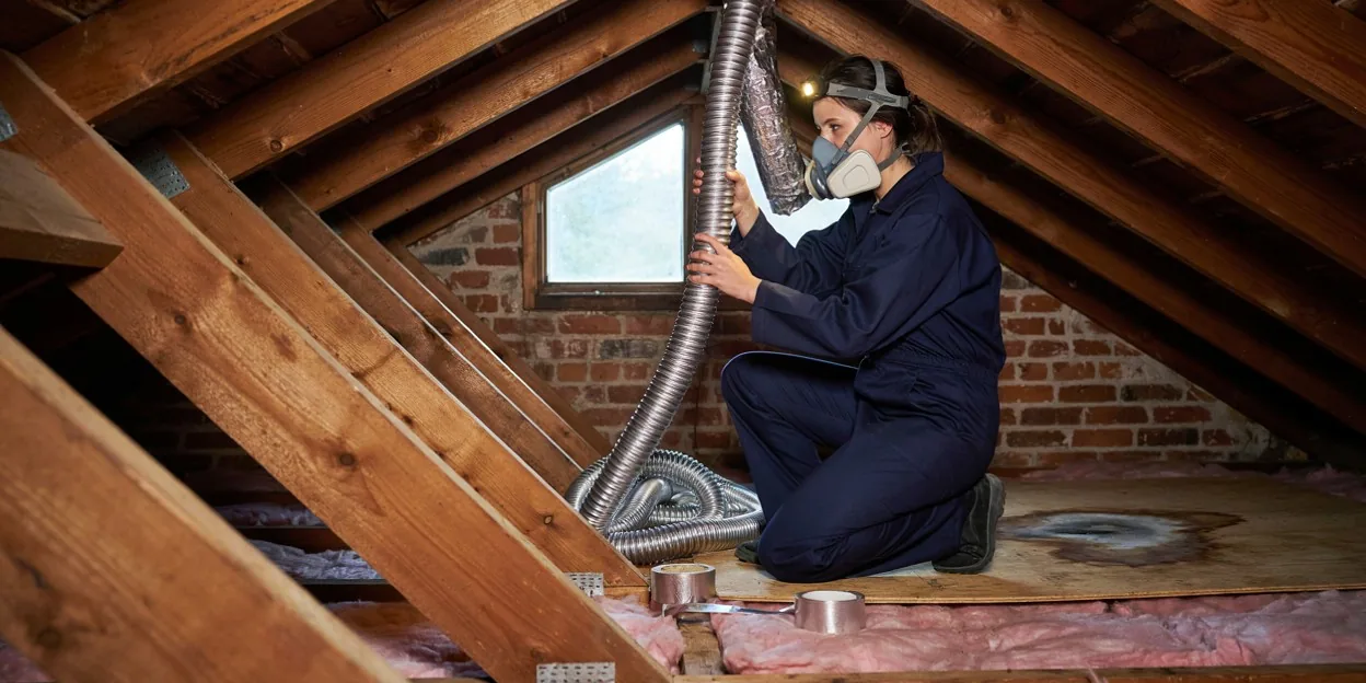 Mold removal in Cheyenne Corridor, NV